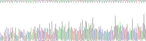 Recombinant Programmed Cell Death Protein 1 Ligand 1 (PDL1)