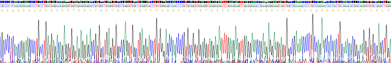 Recombinant Osteonectin (ON)