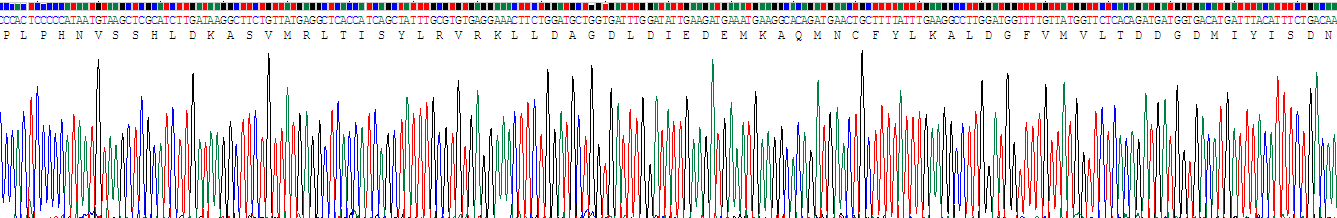 Recombinant Hypoxia Inducible Factor 1 Alpha (HIF1a)