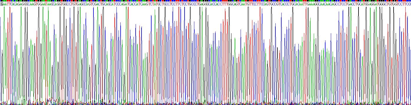 Recombinant Pregnancy Associated Plasma Protein A (PAPPA)