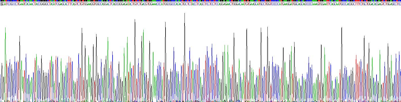 Recombinant Pregnancy Associated Plasma Protein A (PAPPA)