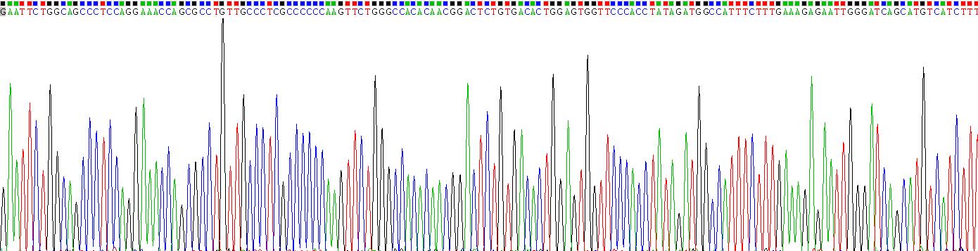 Recombinant Pregnancy Associated Plasma Protein A (PAPPA)