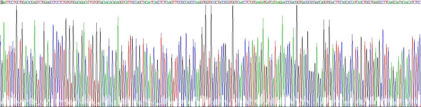 Recombinant Pregnancy Associated Plasma Protein A (PAPPA)