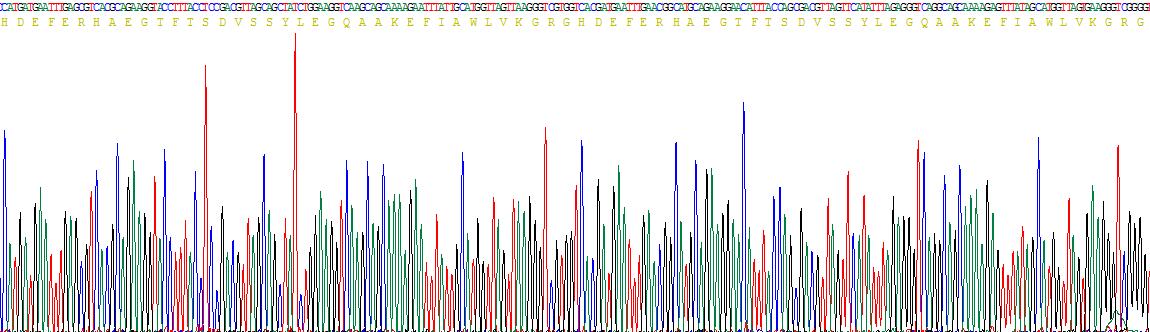 Recombinant Glucagon Like Peptide 1 (GLP1)