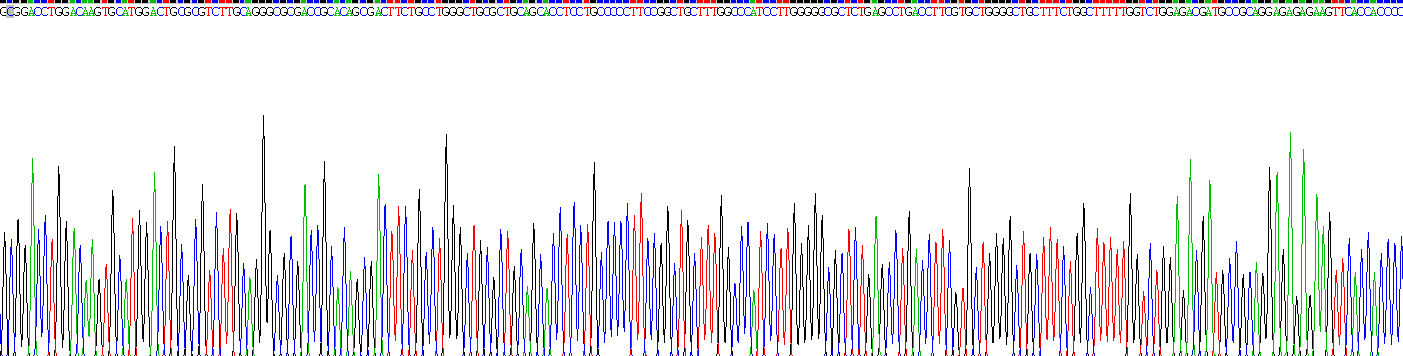 Recombinant Tumor Necrosis Factor Receptor Superfamily, Member 12A (TNFRSF12A)