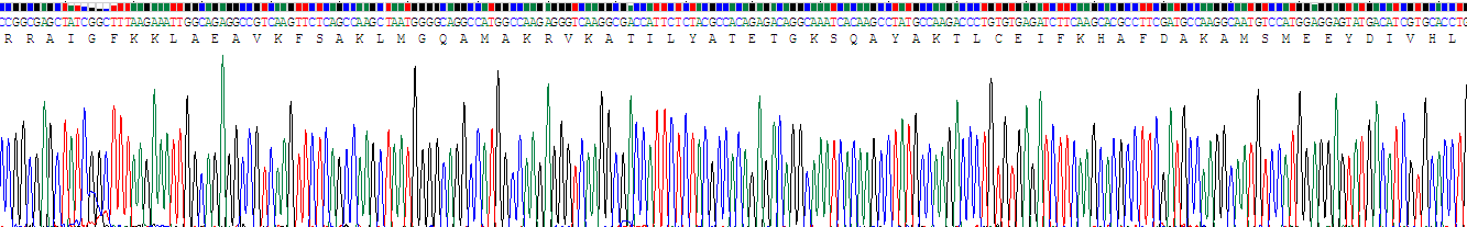 Recombinant Nitric Oxide Synthase 1, Neuronal (NOS1)