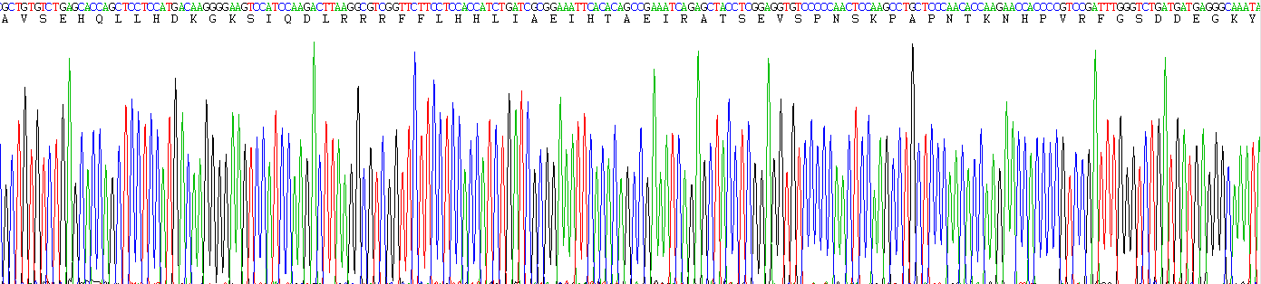 Recombinant Parathyroid Hormone Related Protein (PTHrP)