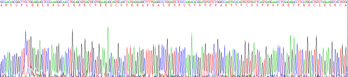 Recombinant Coagulation Factor II (F2)