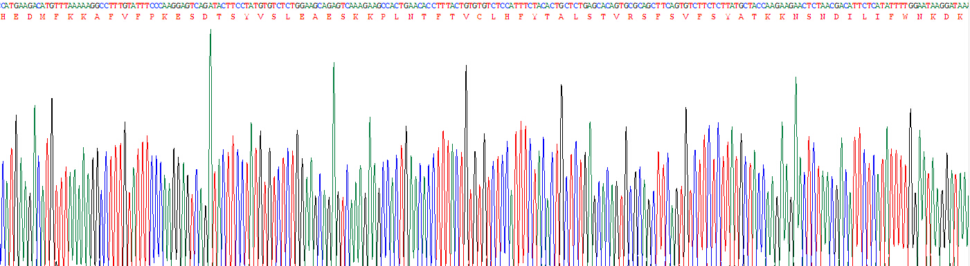 Recombinant C Reactive Protein (CRP)