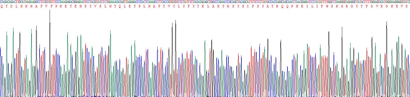 Recombinant C Reactive Protein (CRP)