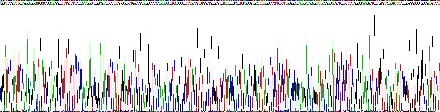 Recombinant C Reactive Protein (CRP)