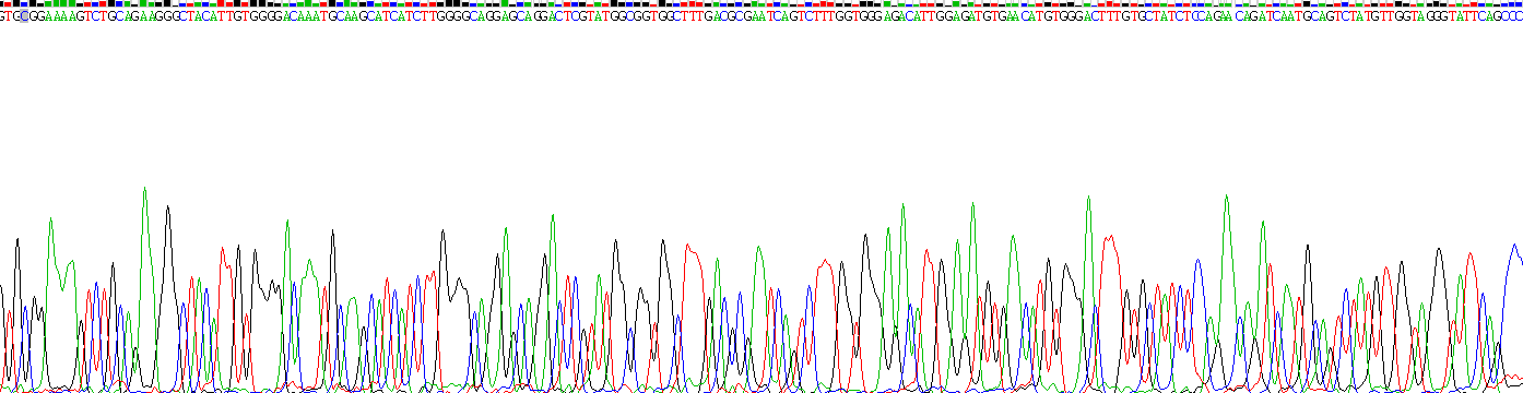 Recombinant C Reactive Protein (CRP)