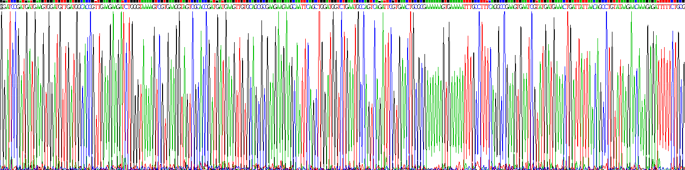 Recombinant Heat Shock Protein 90kDa Beta 1 (HSP90b1)