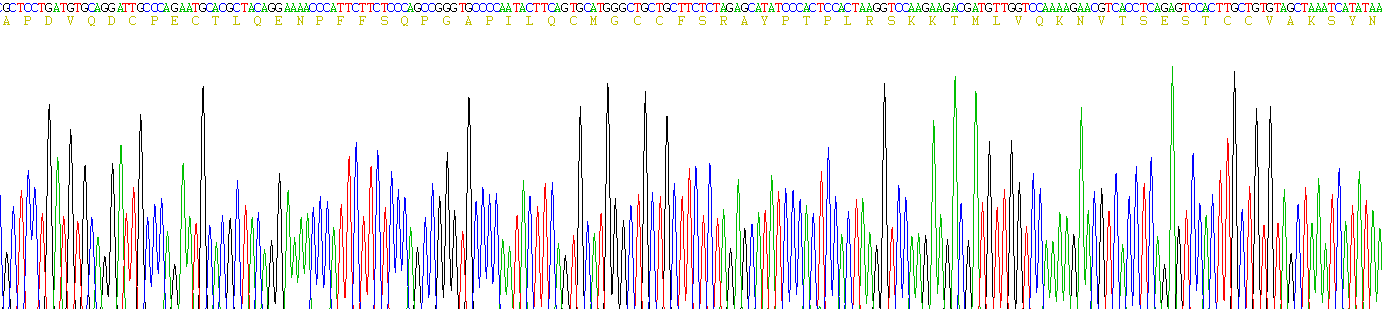 Recombinant Follicle Stimulating Hormone (FSH)