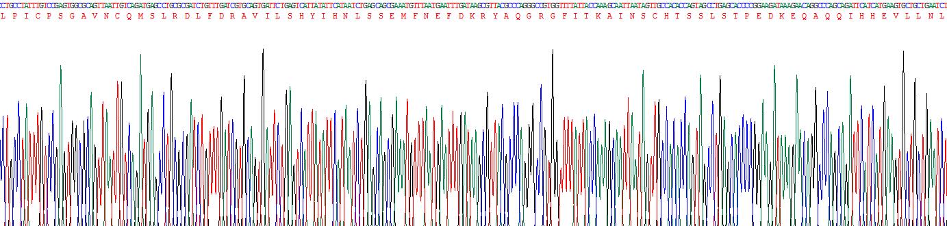 Recombinant Prolactin (PRL)