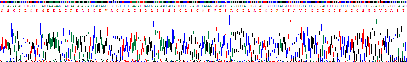 Recombinant Resistin (RETN)