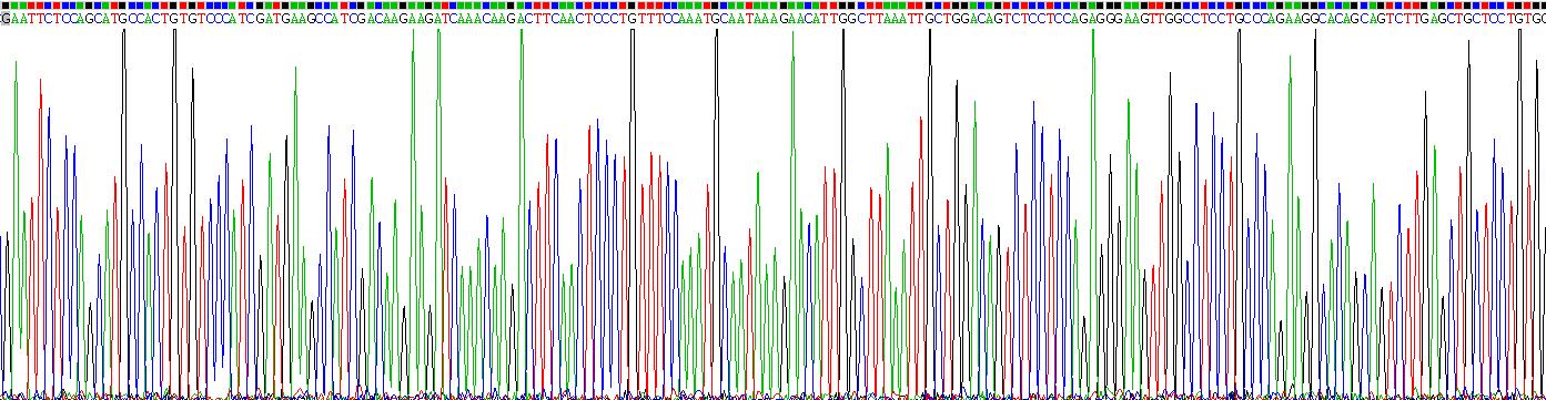 Recombinant Resistin (RETN)