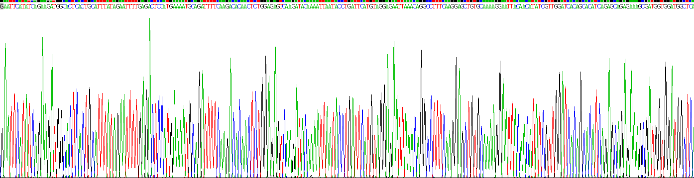 Recombinant Receptor Activator Of Nuclear Factor Kappa B Ligand (RANkL)