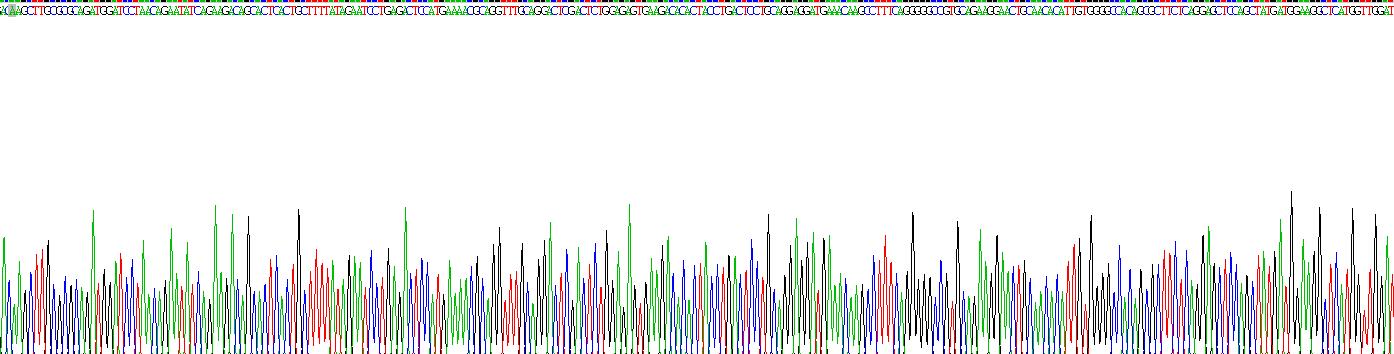 Recombinant Receptor Activator Of Nuclear Factor Kappa B Ligand (RANkL)