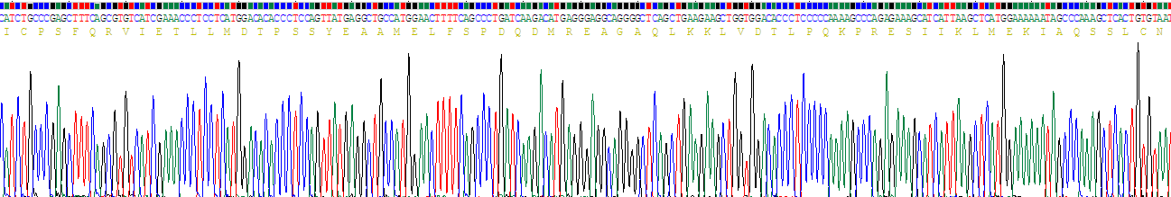 Recombinant Clara Cell Protein 16 (CC16)