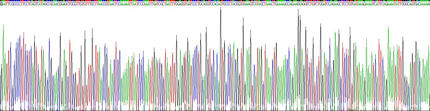 Recombinant Epithelial Neutrophil Activating Peptide 78 (ENA78)