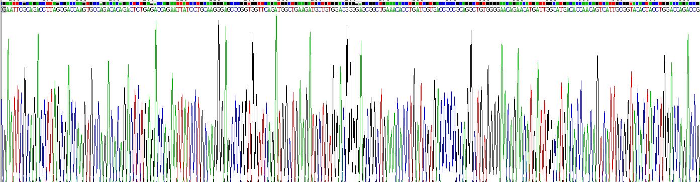 Recombinant Complement Component 3 (C3)