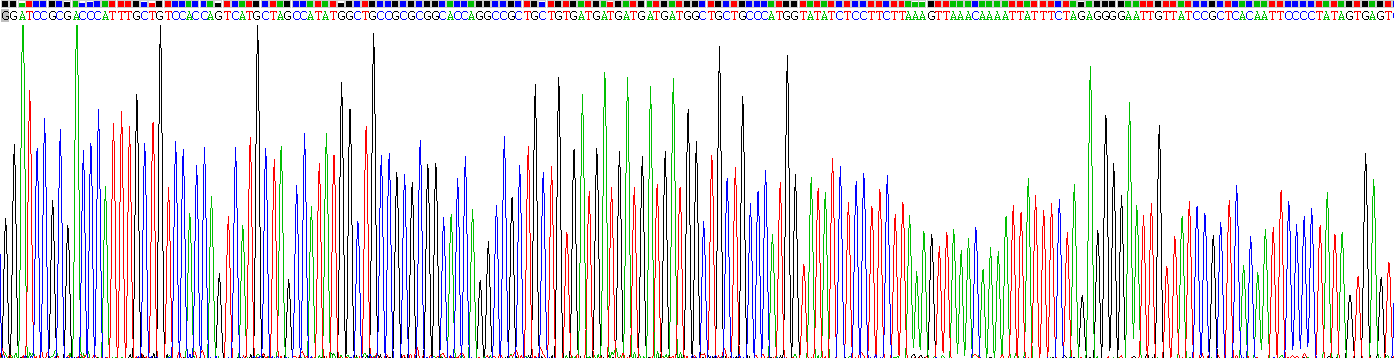 Recombinant Amyloid Beta Peptide 1-40 (Ab1-40)