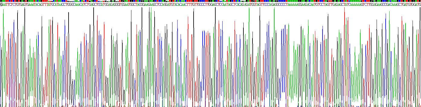 Recombinant Parathyroid Hormone (PTH)