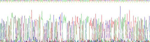 Recombinant Cluster Of Differentiation 26 (CD26)