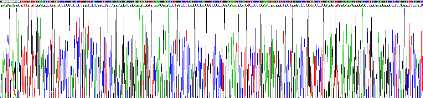 Recombinant Pulmonary Surfactant Associated Protein A1 (SFTPA1)