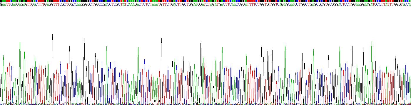 Recombinant Arachidonate-15-Lipoxygenase (ALOX15)