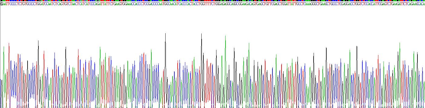 Recombinant Insulin Receptor (INSR)