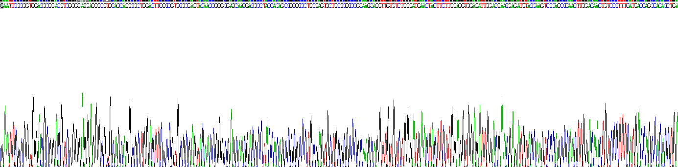 Recombinant Cystatin C (Cys-C)