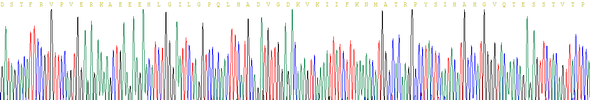 Recombinant Ceruloplasmin (CP)