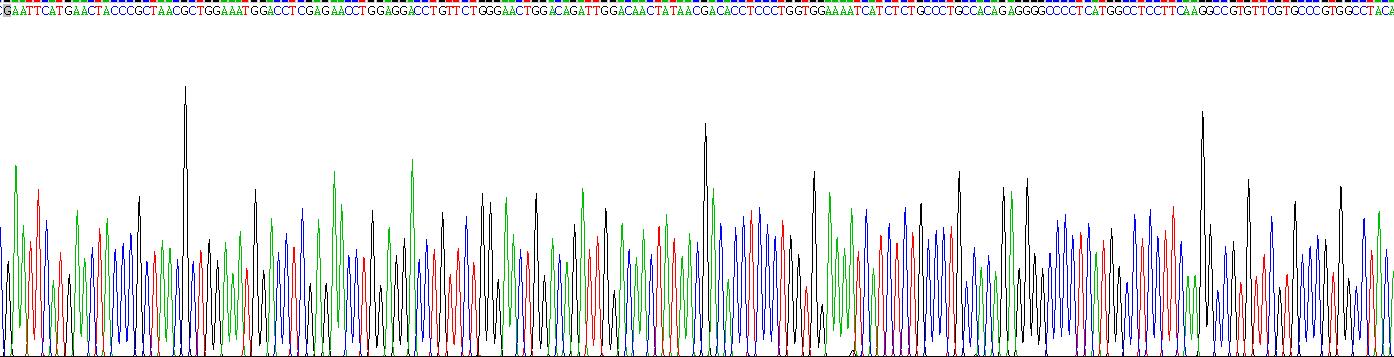 Recombinant Chemokine C-X-C-Motif Receptor 5 (CXCR5)