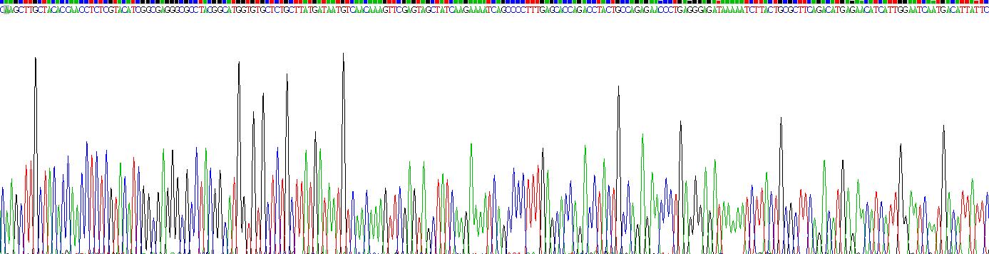 Recombinant Extracellular Signal Regulated Kinase 2 (ERK2)