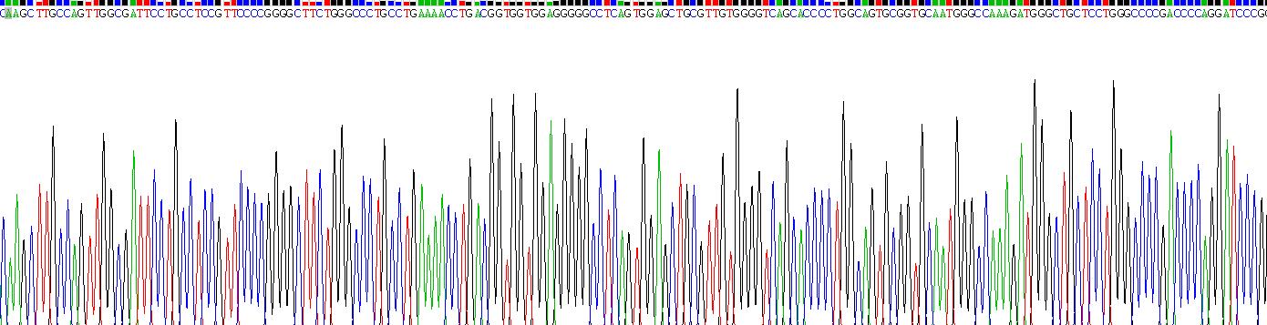 Recombinant Nephrin (NPHN)