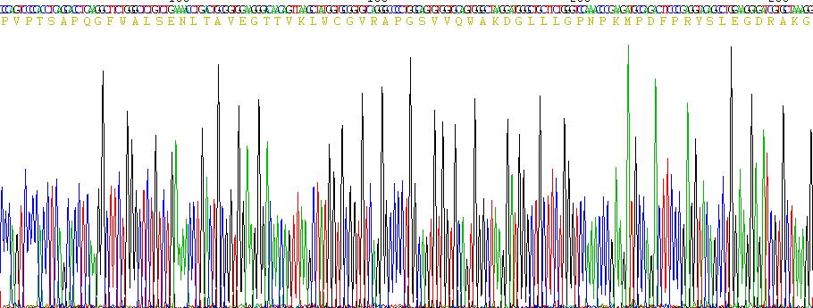 Recombinant Nephrin (NPHN)