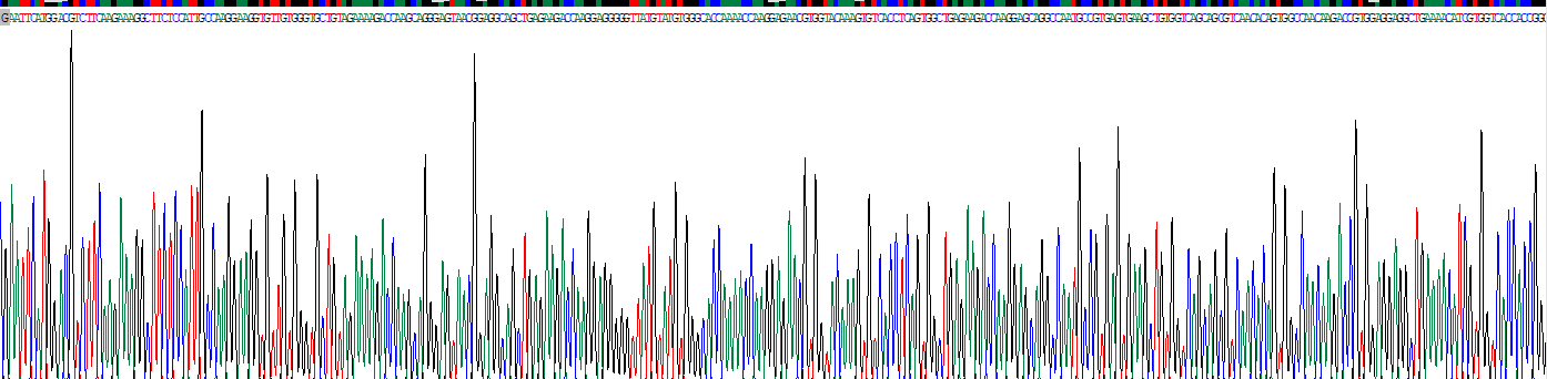Recombinant Gamma-synuclein (SNCG)