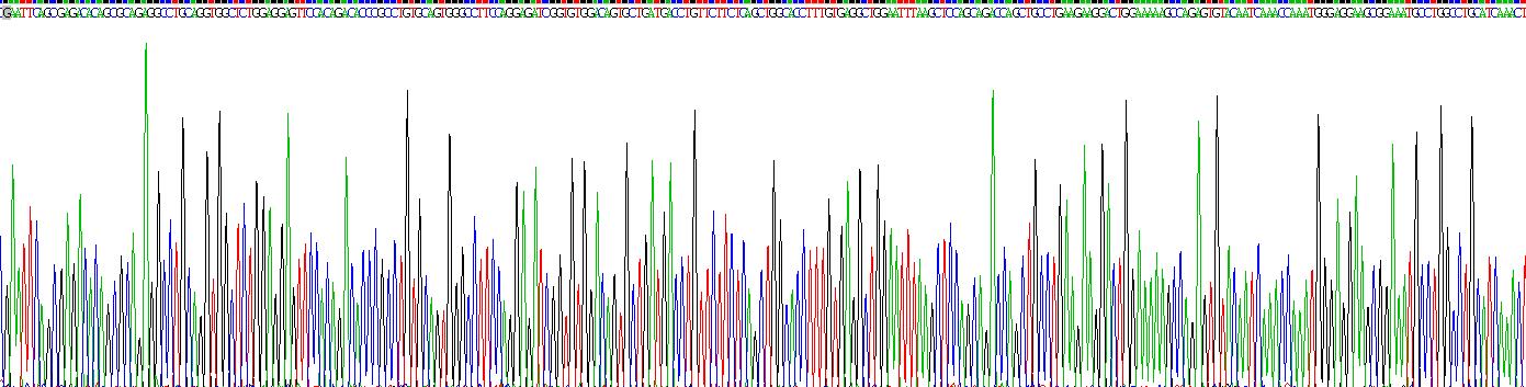 Recombinant Chemerin (CHEM)