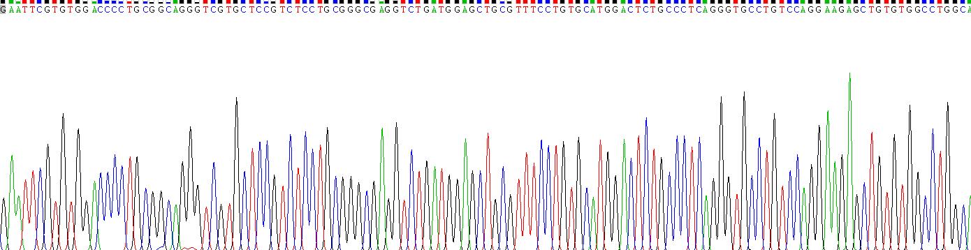 Recombinant Von Willebrand Factor Cleaving Protease (vWFCP)