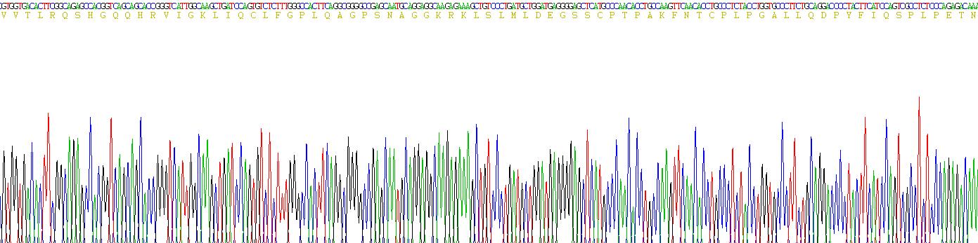 Recombinant Heat Shock Transcription Factor 4 (HSF4)