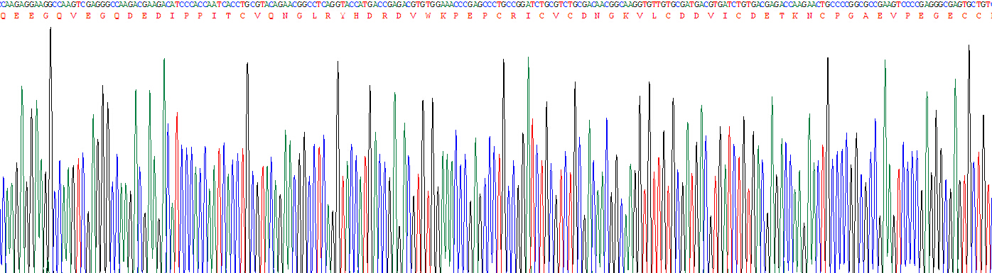 Recombinant Procollagen I N-Terminal Propeptide (PINP)