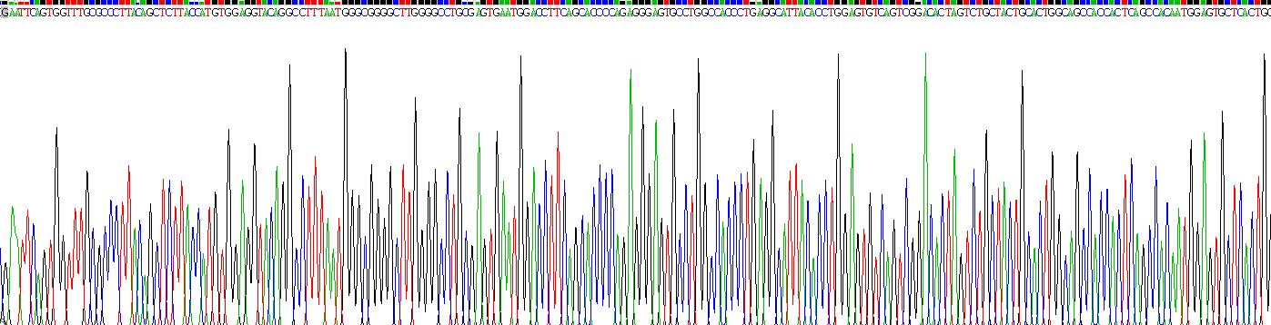 Recombinant L1-Cell Adhesion Molecule (L1CAM)