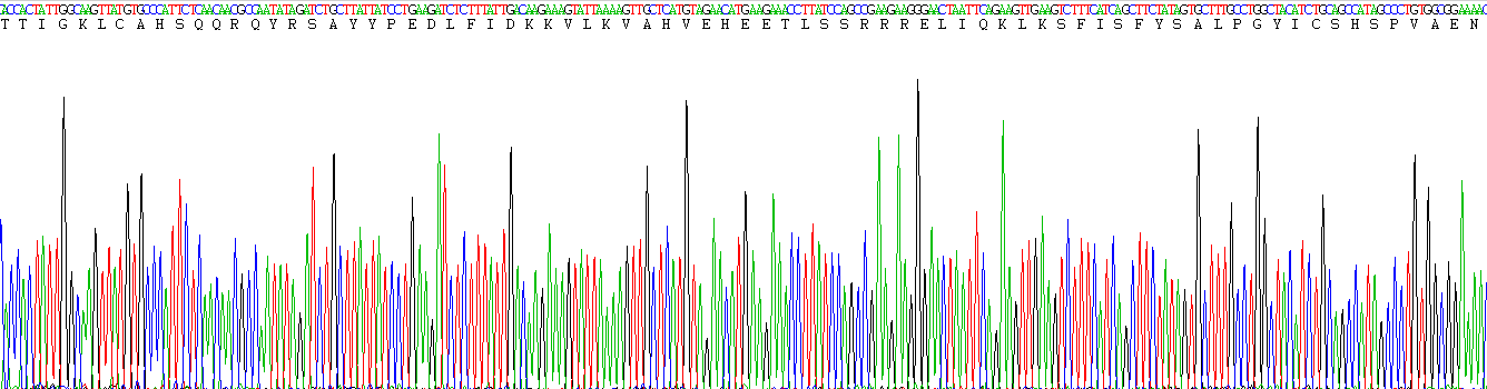 Recombinant Glypican 3 (GPC3)