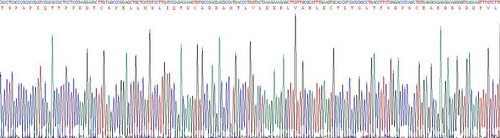 Recombinant Endoglin (ENG)