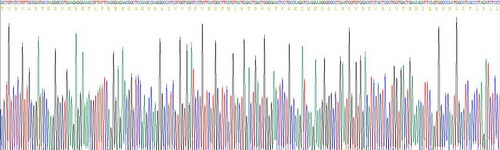 Recombinant Low Density Lipoprotein Receptor (LDLR)