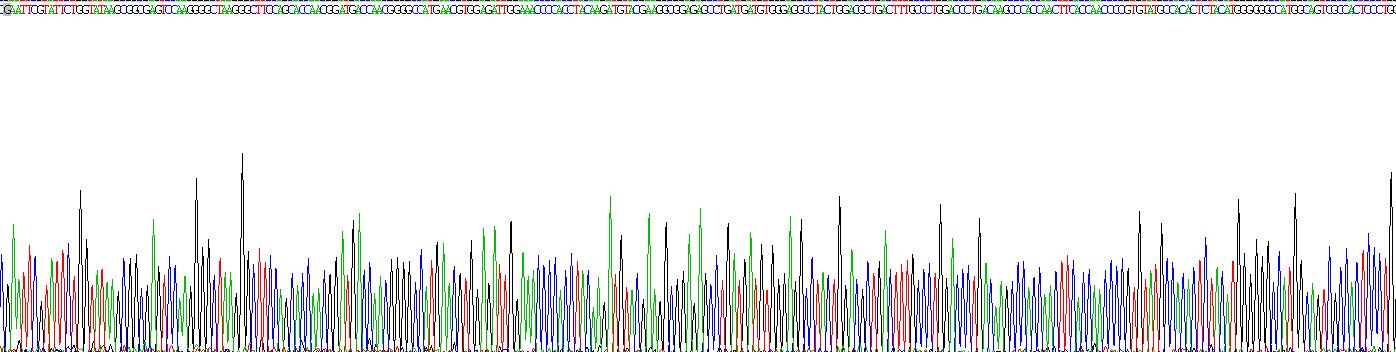 Recombinant Low Density Lipoprotein Receptor Related Protein 1 (LRP1)