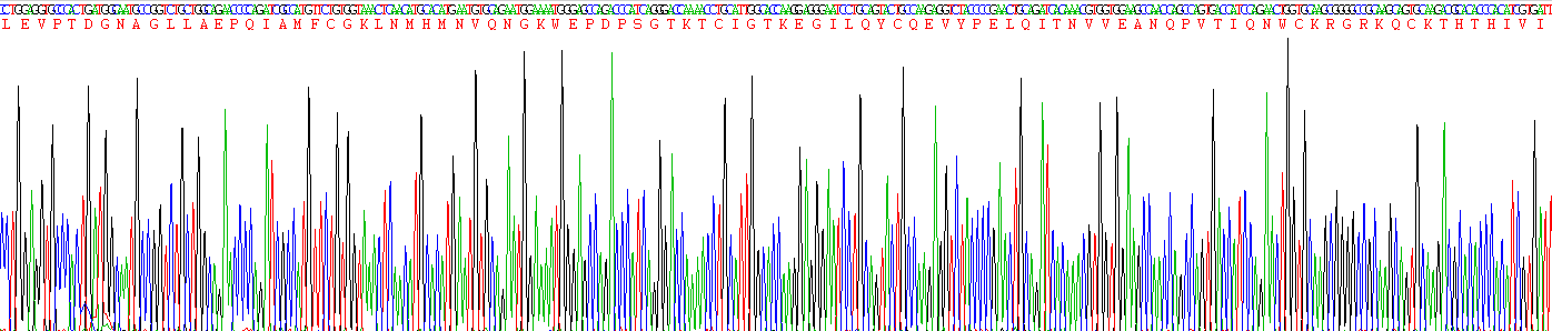 Recombinant Amyloid Precursor Protein (APP)