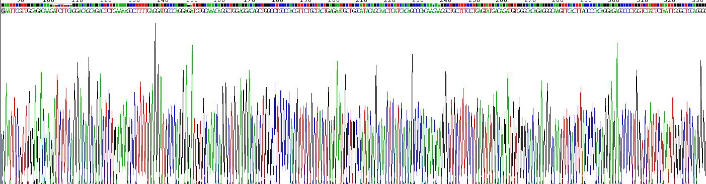 Recombinant Surfactant Associated Protein D (SPD)